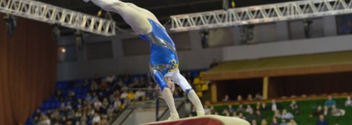 Спортивная гимнастика