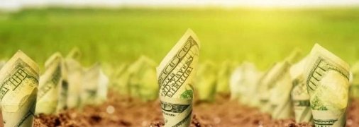 Подводные камни земельного рынка: как в Украине оценивают землю, и где она самая дорогая (инфографика)