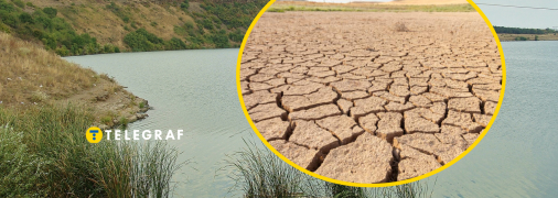 Коллаж "Телеграфа"