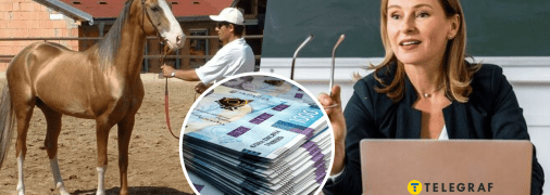 Конюх, гроші та жінка за ноутбуком