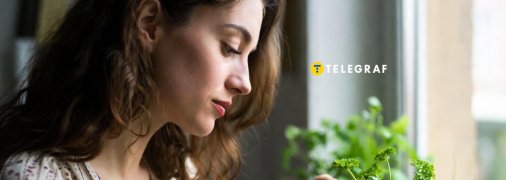 Вирощувати петрушку в будинку можна всю зиму