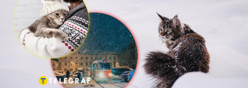 Снег в Украине