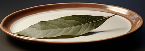 Лаврові листки використовують не лише у кулінарії