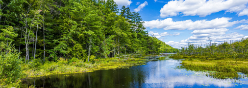 Яке сьогодні свято — Аграфена Купальниця