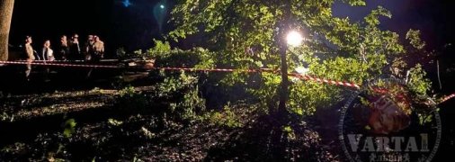 Во Львове сломавшееся из-за урагана дерево упало на парня и девушку - оба погибли на месте (фото)