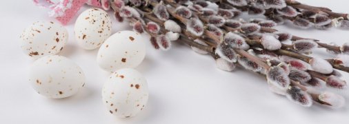 Привітання у красивих листівках з Вербною неділею 2025