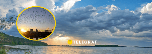 Колаж "Телеграфу"