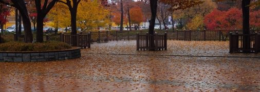 Осінній дощ