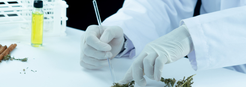 Фармацевтичний інгредієнт потрібно внести в Державний реєстр лікарських засобів