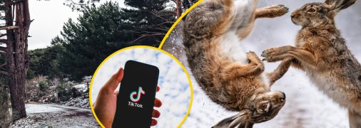 Забавный ролик набирает популярность