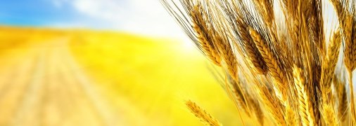 День независимости в Украине празднуют 24 августа