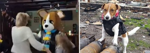 Пес Патрон на вибухівці та аніматор у його костюмі