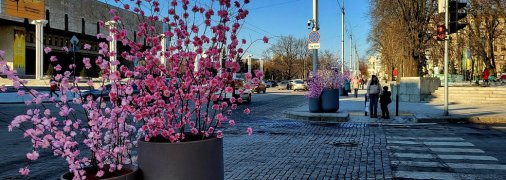 Погода в Харькове с 9 по 15 марта