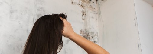 Цвіль у будинку