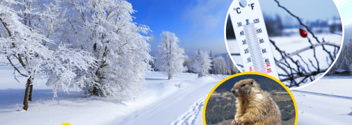 Українці жартують про сильні морози