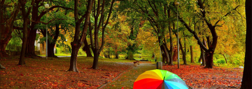 Останні погожі дні