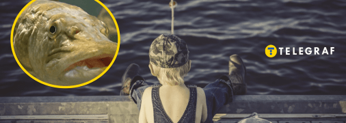 Риболовля - дуже азартне зайняття