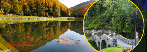 Міст чотирьох Євангелістів на Закарпатті