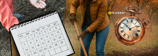 В ноябре можно посадить много культур, чтобы они дали урожай уже весной