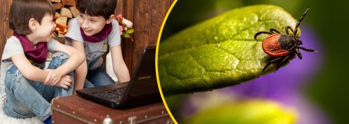 В Україні зняли мультик про кліщів