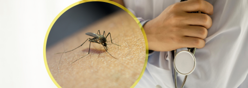 Переносниками хвороби є не тільки комарі