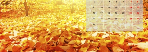 Осінь вступає у свої права