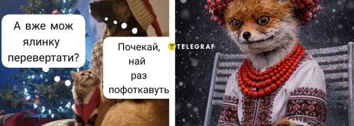 Приколы про Новый год 2026