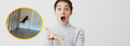 Тварина налякала людей