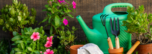 Лайфхак для уничтожения вредителей на участке