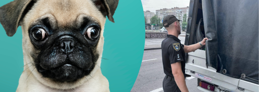 Правоохранители устанавливают все подробности дела