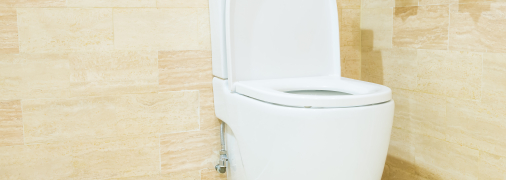 Гвоздика - отличный вариант для устранения неприятных запахов