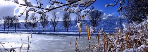 Весна буде ранньою