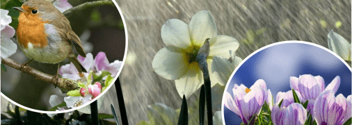 Погода в Україні