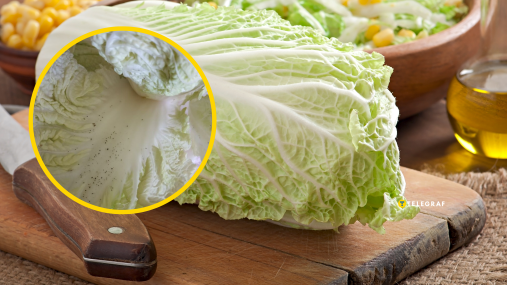 Черные точки на пекинской капусте: почему они появляются и можно ли есть такой овощ