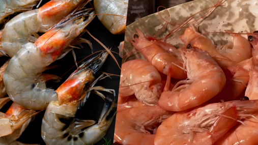 Будут сочными и ароматными: как правильно варить креветки, чтобы не стали "резиновыми" (видео)