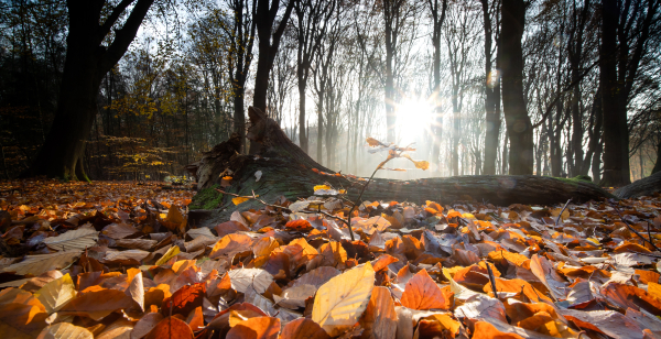 Как отодрать жвачку с одежды – лайфхак с кубиком льда - Телеграф