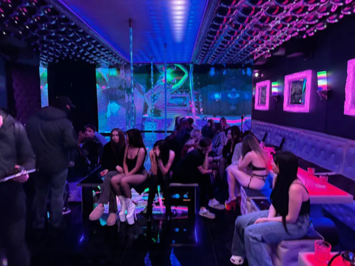 Стриптиз-клуб Tootsie, бордель, Киев, Артур Палатный, Виталий Кличко