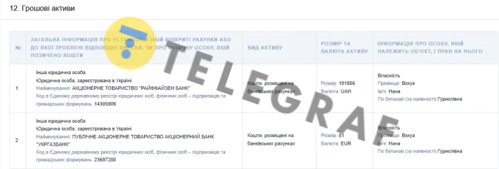 судья, НАНА Векуа, декларация