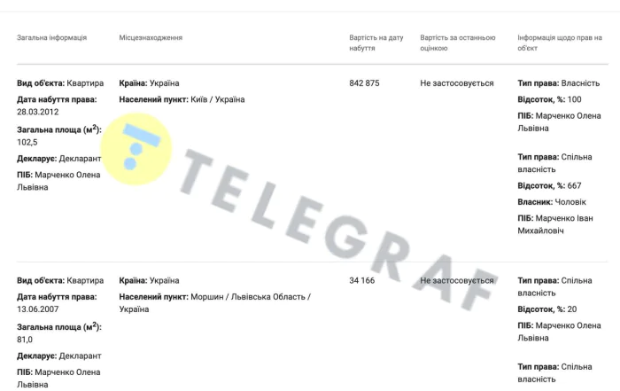 декларация Елены Марченко, Киев, КГГА