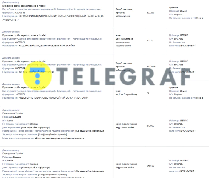 Василий Лемак, Конституционный суд, декларация