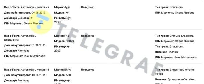 Елена Марченко, декларация, КГГА, Киев