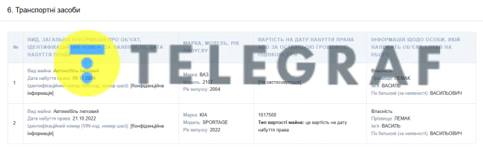 Василий Лемак, Конституционный суд, декларация