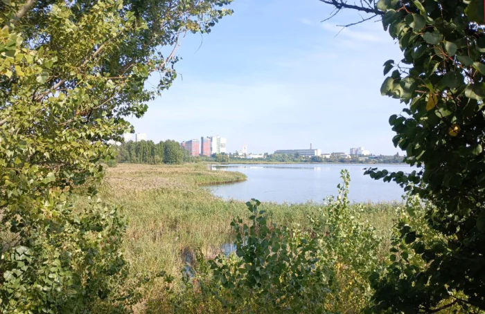 Вырлица